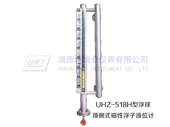 防腐磁性浮子液位计