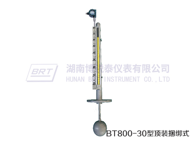 顶装捆绑式磁致伸缩液位变送器