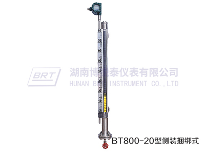 侧装捆绑式磁致伸缩液位变送器